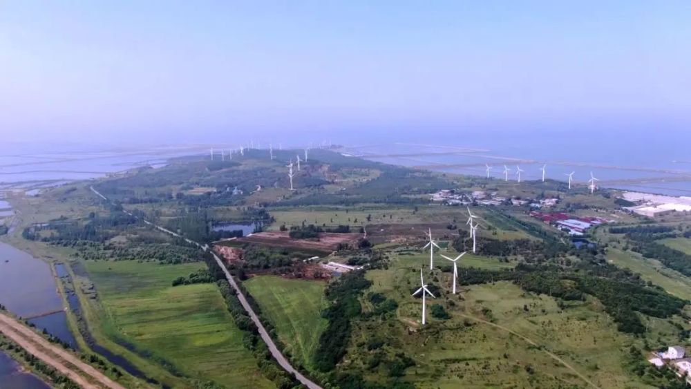 太平湾合作创新区打造"国资国企综改特别示范区"_腾讯新闻