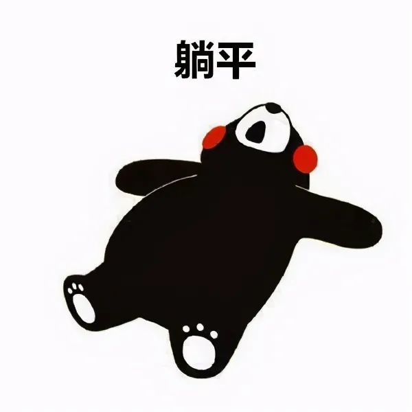 丁克与躺平什么让年轻人如此焦虑白岩松败在了这点上