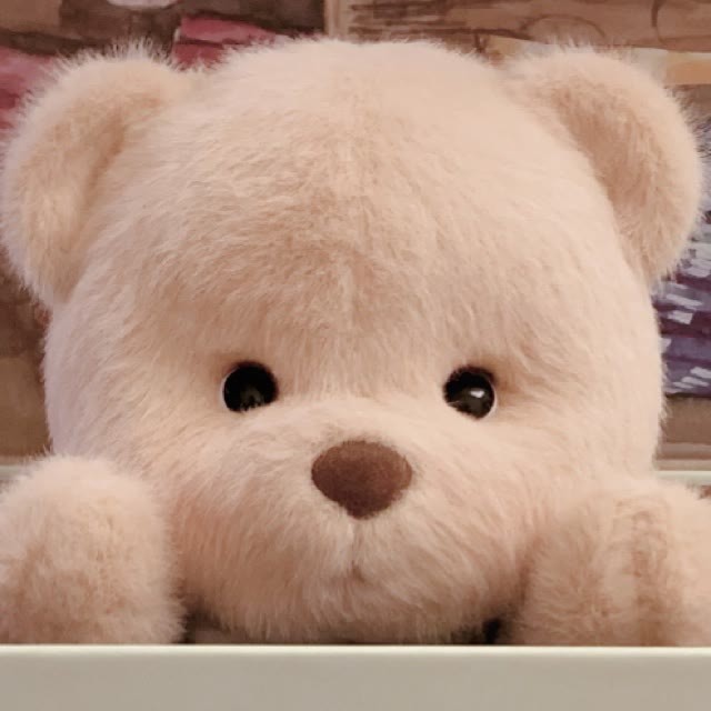 莉娜熊 可爱头像表情包 太太太可爱了_腾讯新闻