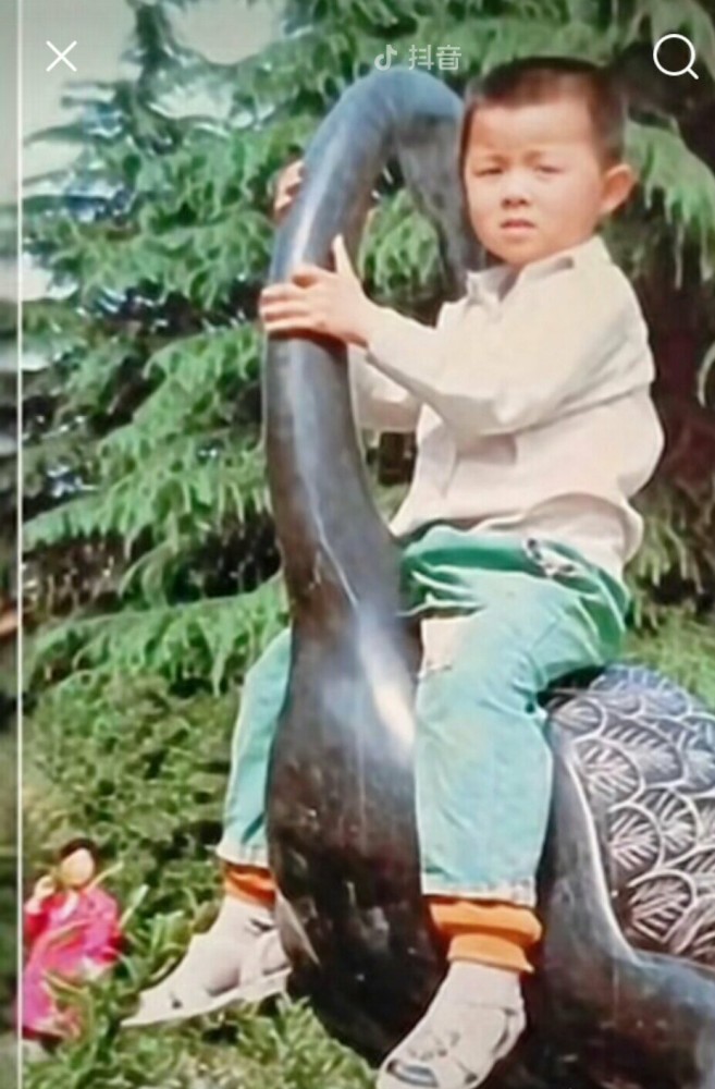 错换人生28年郭威童年照心里的委屈又有谁知懂许妈那凄厉的哭