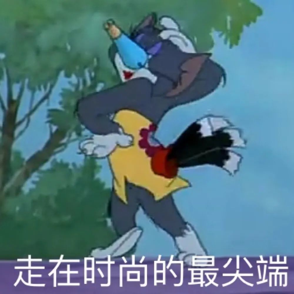 猫和老鼠可爱搞笑表情包