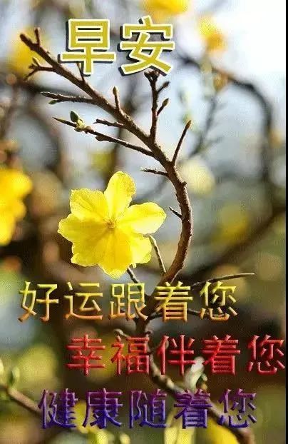 非常精美的早上好問候圖片帶字溫馨,漂亮早安問候語美圖