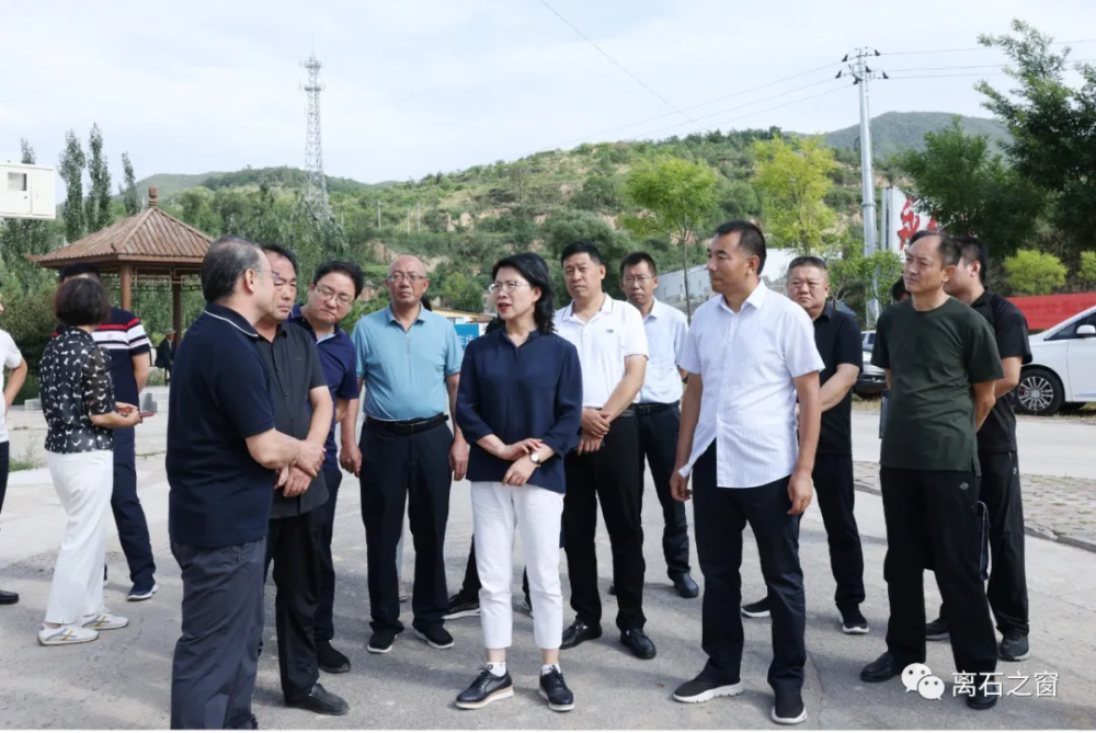 离石区委主要领导调研信义农文旅康综合体重点项目建设