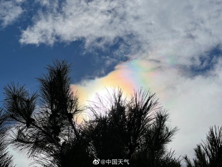 北京天空现日华奇观你看到了吗