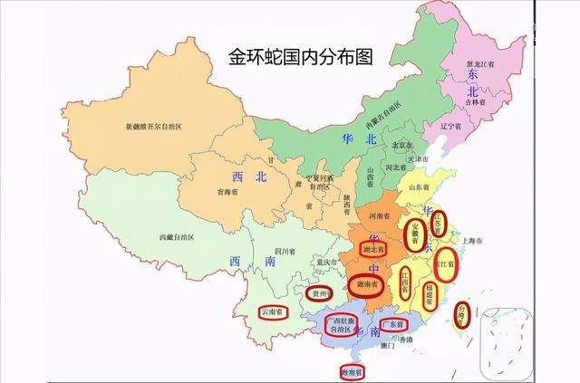 广东,浙江,贵州,四川,湖南,海南,安徽等地有60~76种蛇,毒蛇也大多分布