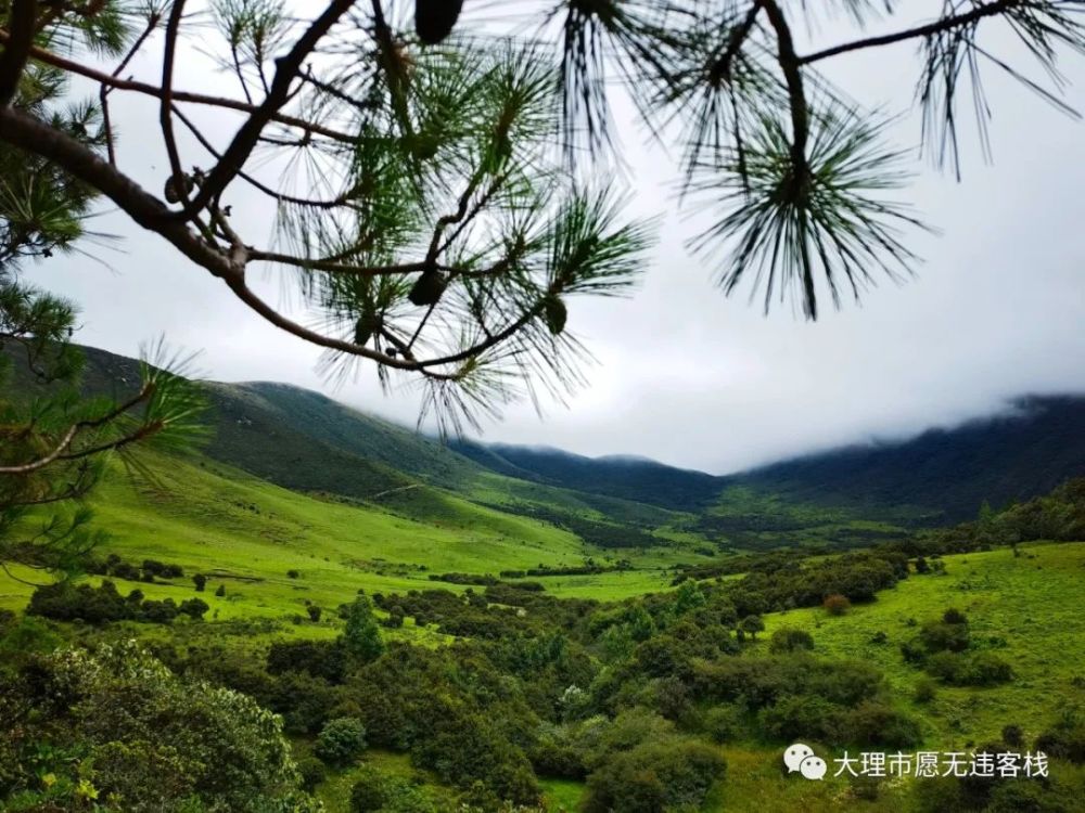 大理洱源鸟吊山2年7次去徒步旅行绝对是真爱