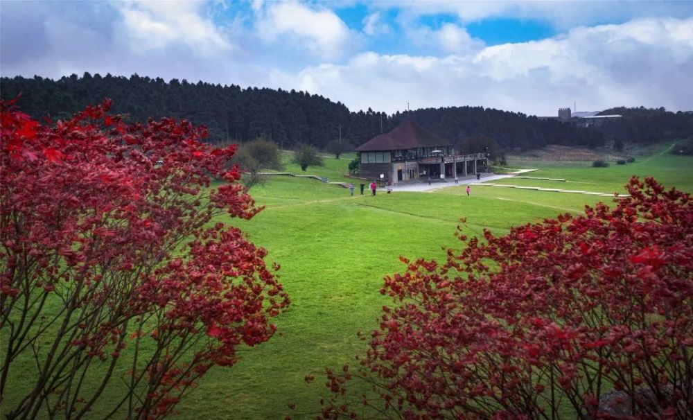 武隆仙女山美景登上人民日报