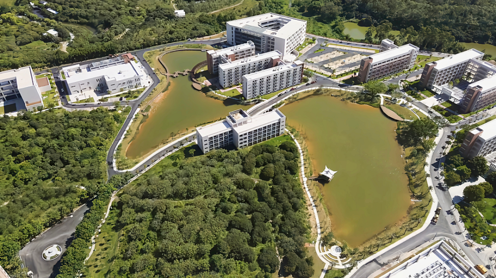 在阳江读大学是什么体验?一起去看新生入学现场