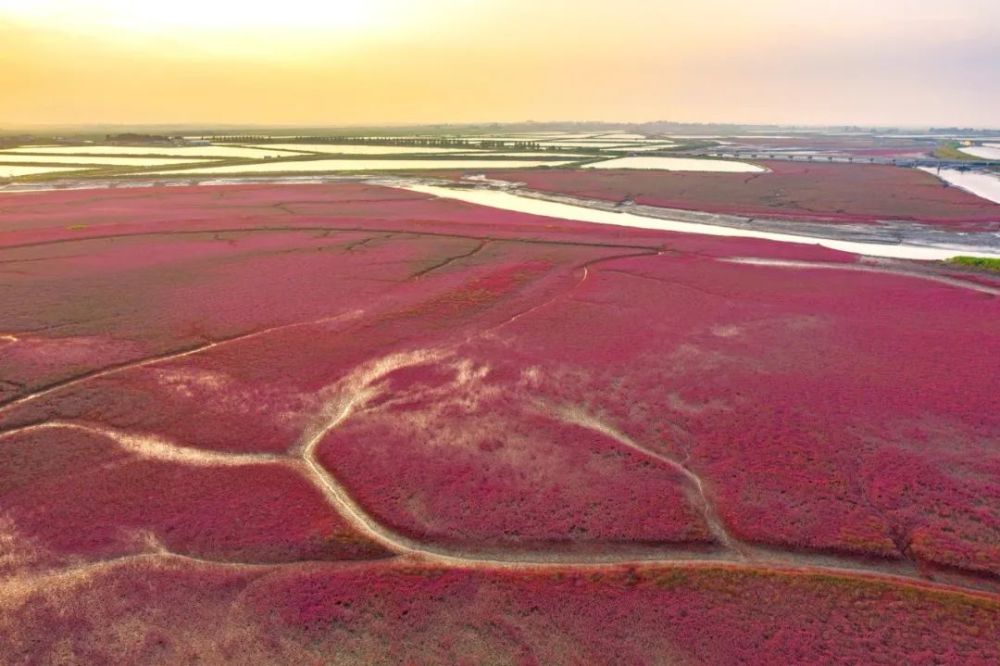 最美山水大连庄河处处红海滩
