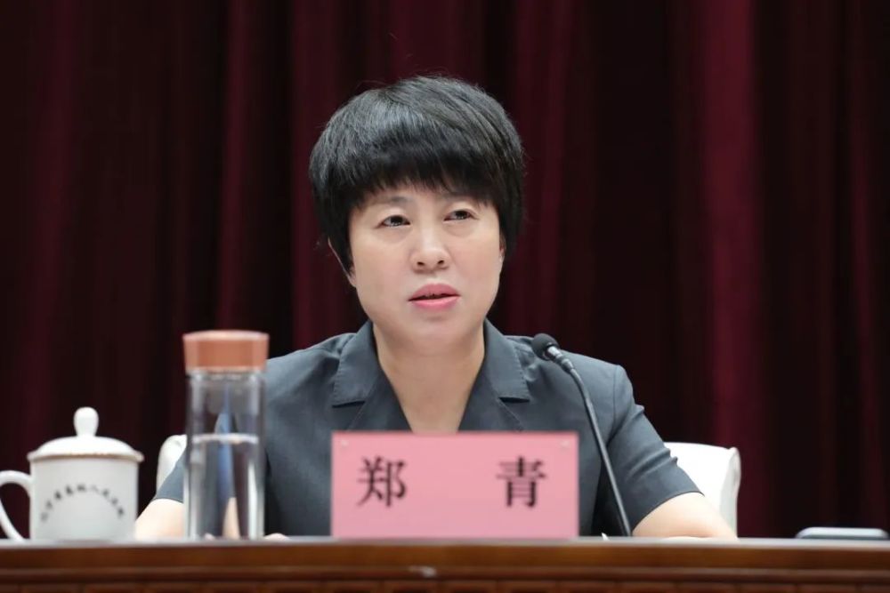 中院院长座谈·改革篇丨郑青:加快推进执法司法责任体