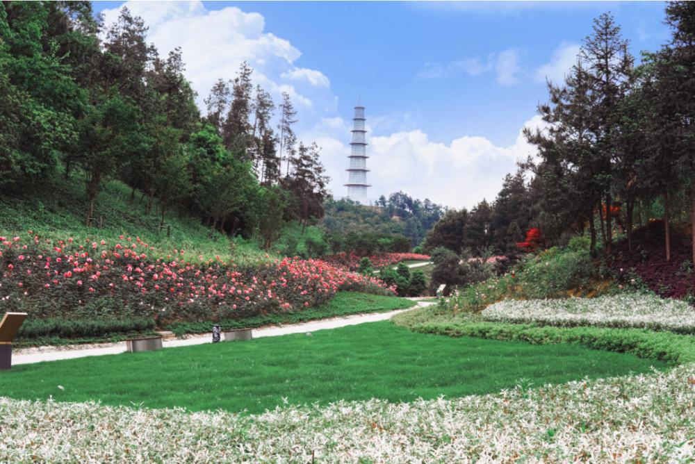 月季花谷丨每个人都有自己的秘密花园来这留下你的故事吧