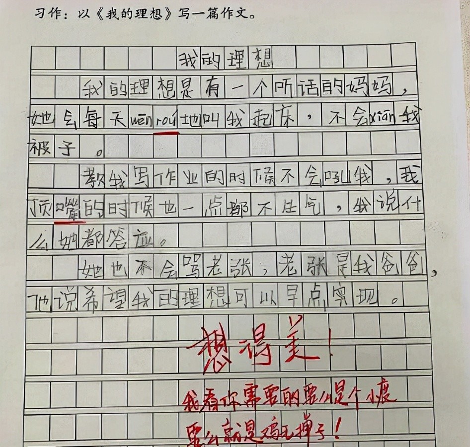 小学生作文 我的理想 走红 想法过于清奇 老师看完哭笑不得 腾讯新闻