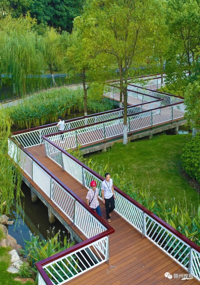 中心城区亲水栈道全新亮相!快来打卡尝鲜
