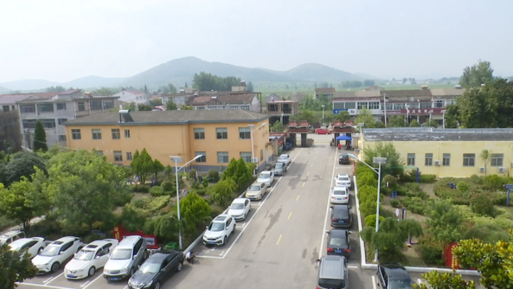 庄里镇:狠抓农村环境整治 提升群众幸福感