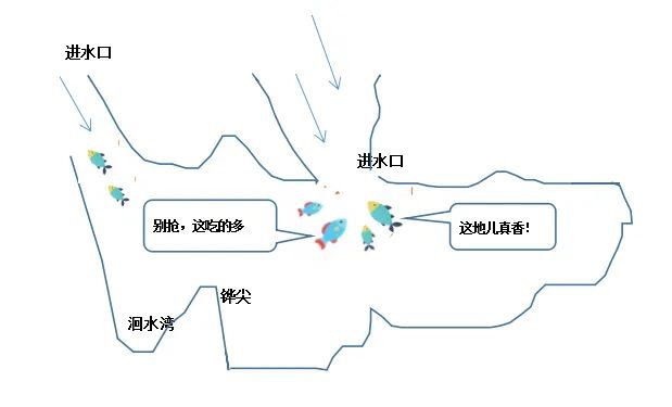 找对鱼窝,鱼道,你才可以渔获满满!