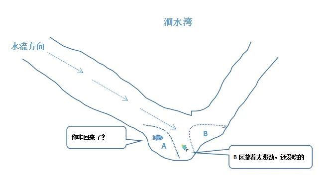 找洄水湾:洄水湾是鱼窝存在地之一.