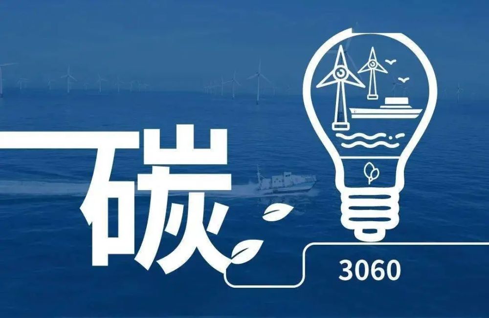 实现"双碳"目标,木业企业如何在挑战中抓机遇?