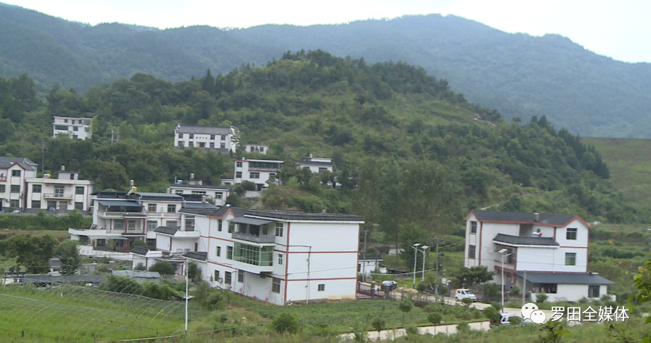 罗田县骆驼坳镇叶家圈村:产业兴旺后劲足 乡村振兴展新颜