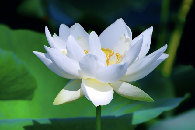 提职未成,反遭算计:职场应对"白莲花",你要保持应有的边界