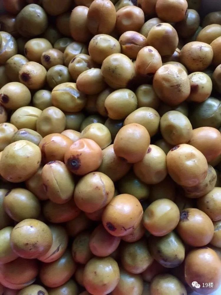 via19楼app网友@岁月之秋 杭州人很少专门吃南酸枣的,基本都是拿回家