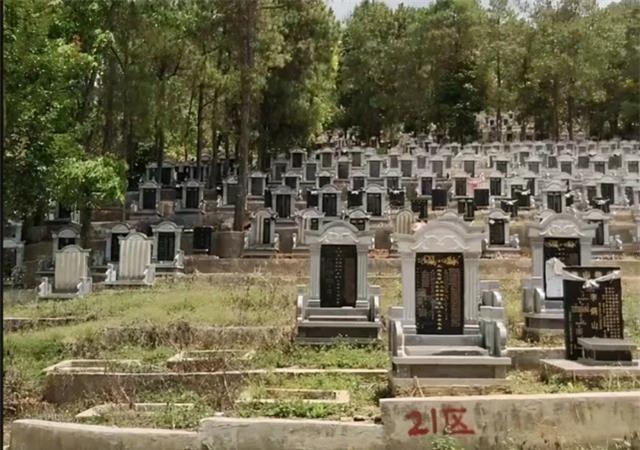 于月仙回老家安葬在回民公墓引发争议选择火化原因曝光
