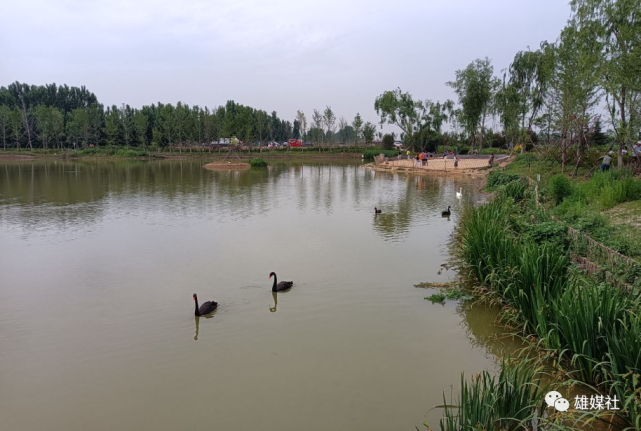雄安新区美丽乡村建设系列一:龙湾镇胡各庄村