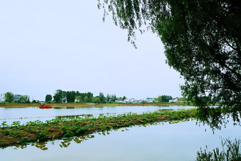 江苏灌云县3个自驾游小众景点攻略推荐