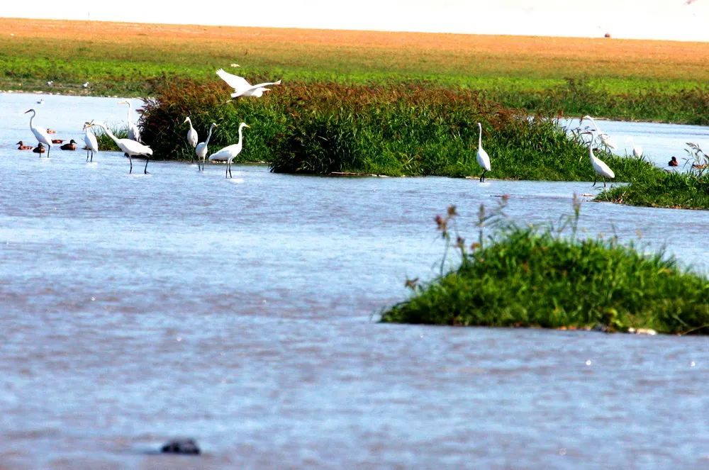 8月23日,记者在大泉沟水库看到,虽然进入秋捕季节,但是却见不到捕鱼的