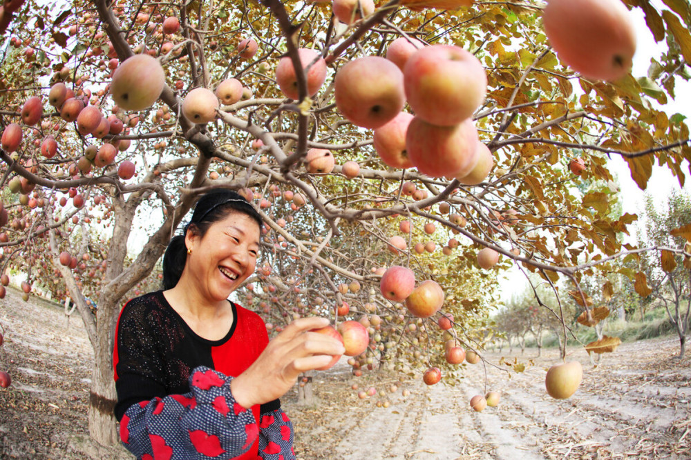 宁县人口多少_甘肃庆阳人口最多的四个县区:第一名是宁县