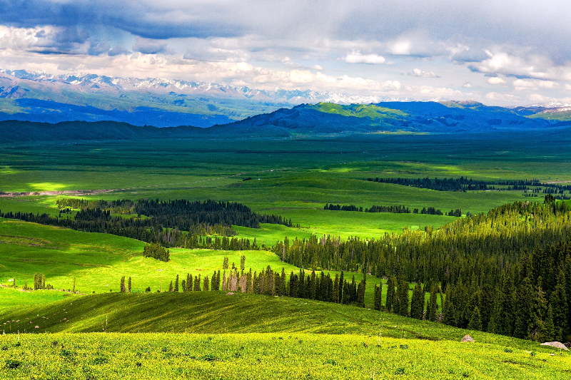 新疆伊犁河谷风光绮丽