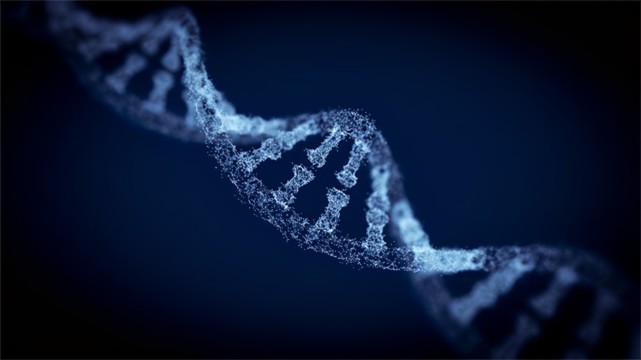 人们质疑人类到底能否"与黑猩猩产生爱情","跨物种相爱"到底有没有