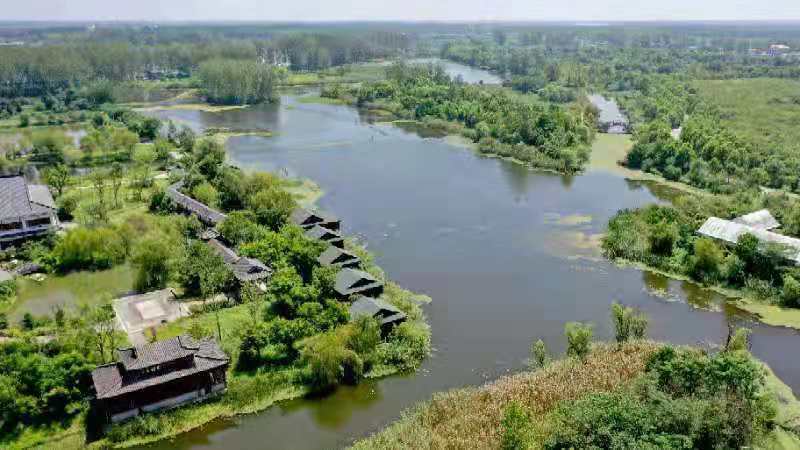 安徽亳州:利辛西淝河国家湿地公园秋景如画_腾讯新闻