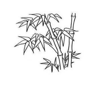 最美基层法庭丨竹园法庭赓续红色血脉以新时代法庭担当