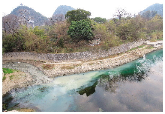我市获得"全国黑臭水体治理示范城市"—— 治理前的南溪河(南溪公园