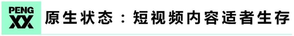 推测拍小腿一双天官赐福短剧不大