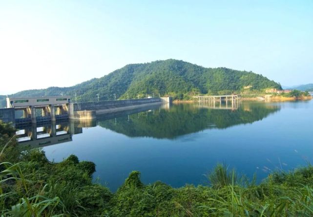 在6月5日举行的2021年六五环境日湖南主场活动现场,浏阳市株树桥水库