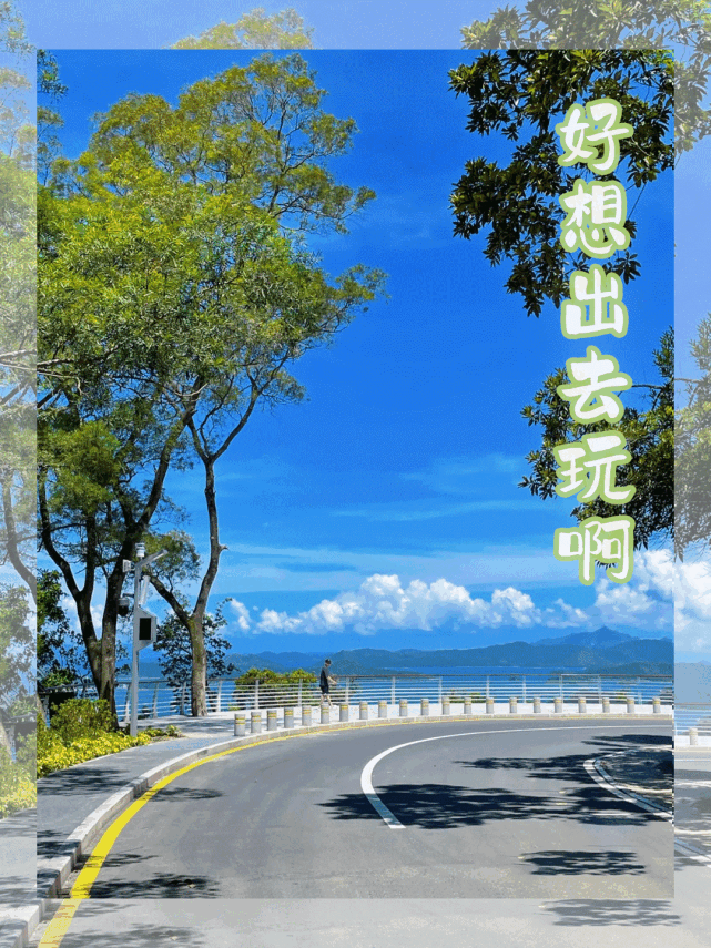 不用预约还免费!|邓小贺|红花山公园|金龟村|光明区|深圳