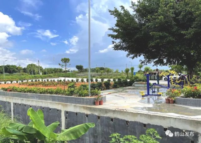 龙口这个村变美了…|口袋公园|龙口镇