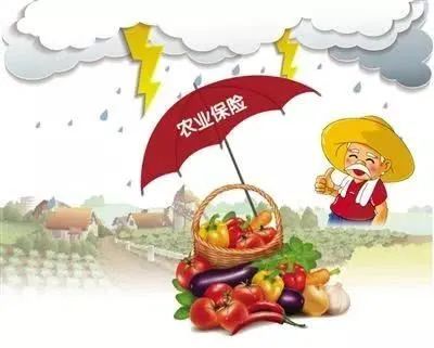 农民该不该买农业保险买了玉米保险受灾后如何理赔