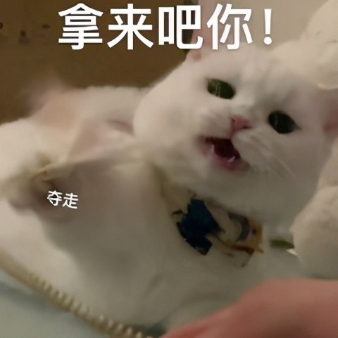 这家超市千万别去!