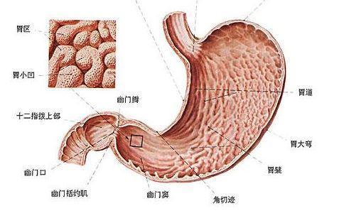 慢性腸胃炎的病因及日常護理