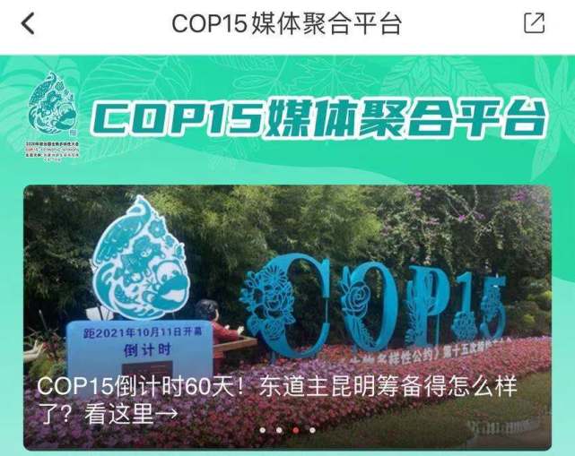 对于这场大会,你了解多少?距离cop15举办仅有46天,掌上