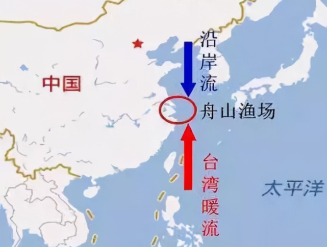 海洋的报复过度捕捞二十年舟山渔场已成死海