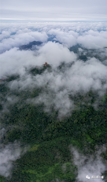 都江堰雨霧籠罩下的絕美景色,太讚了