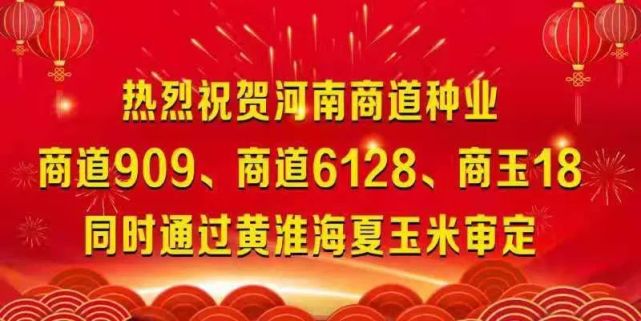 河南商道种业商道909等三个品种通过国家初审!