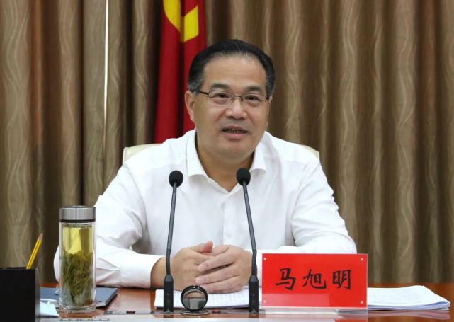 马旭明全力抓好两网建设着力打造市域社会治理现代化襄阳样板