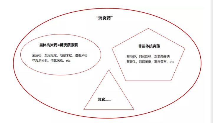 两大抗生素阿莫西林和头孢要认清,用对是宝,用错是害药