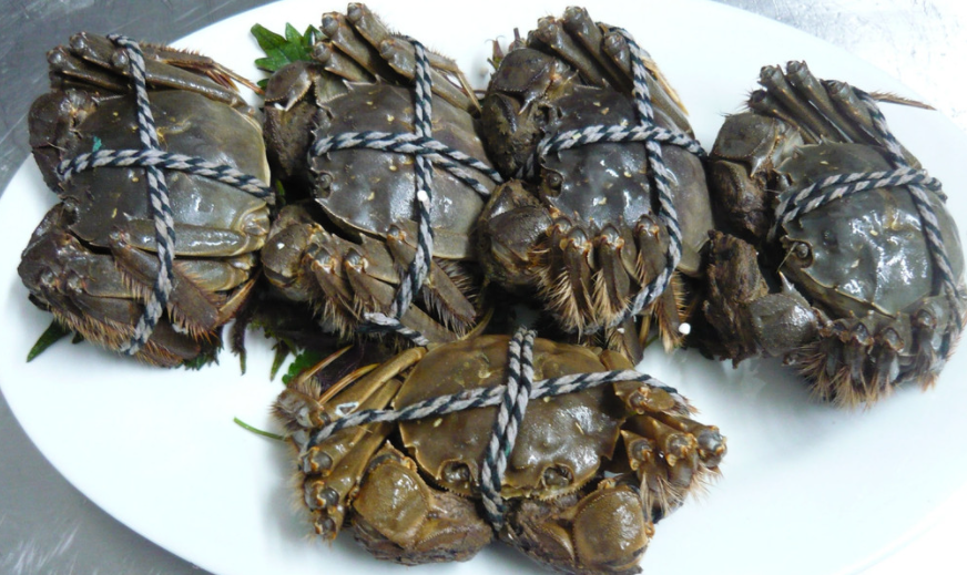 股市行情-股票论坛平台：酒馆股票第一股：是资本收割，还是隐形冠军？ ...(11)