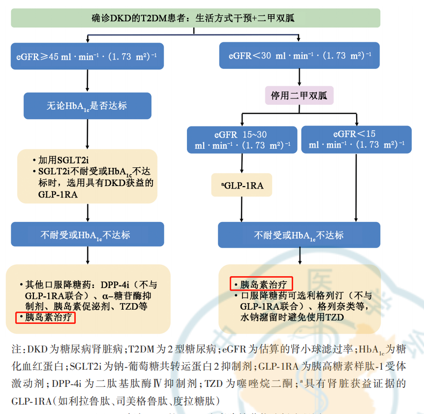 中國糖尿病腎臟病防治指南2021年版發佈要點一覽