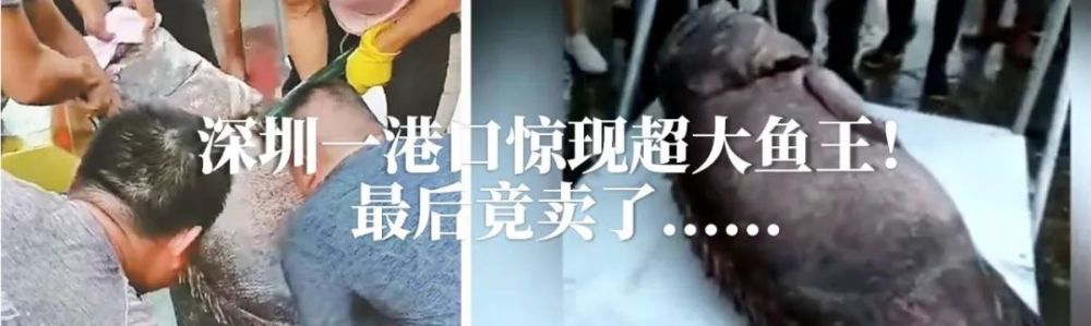 香水品牌有哪些,品牌香水排名有哪些品牌